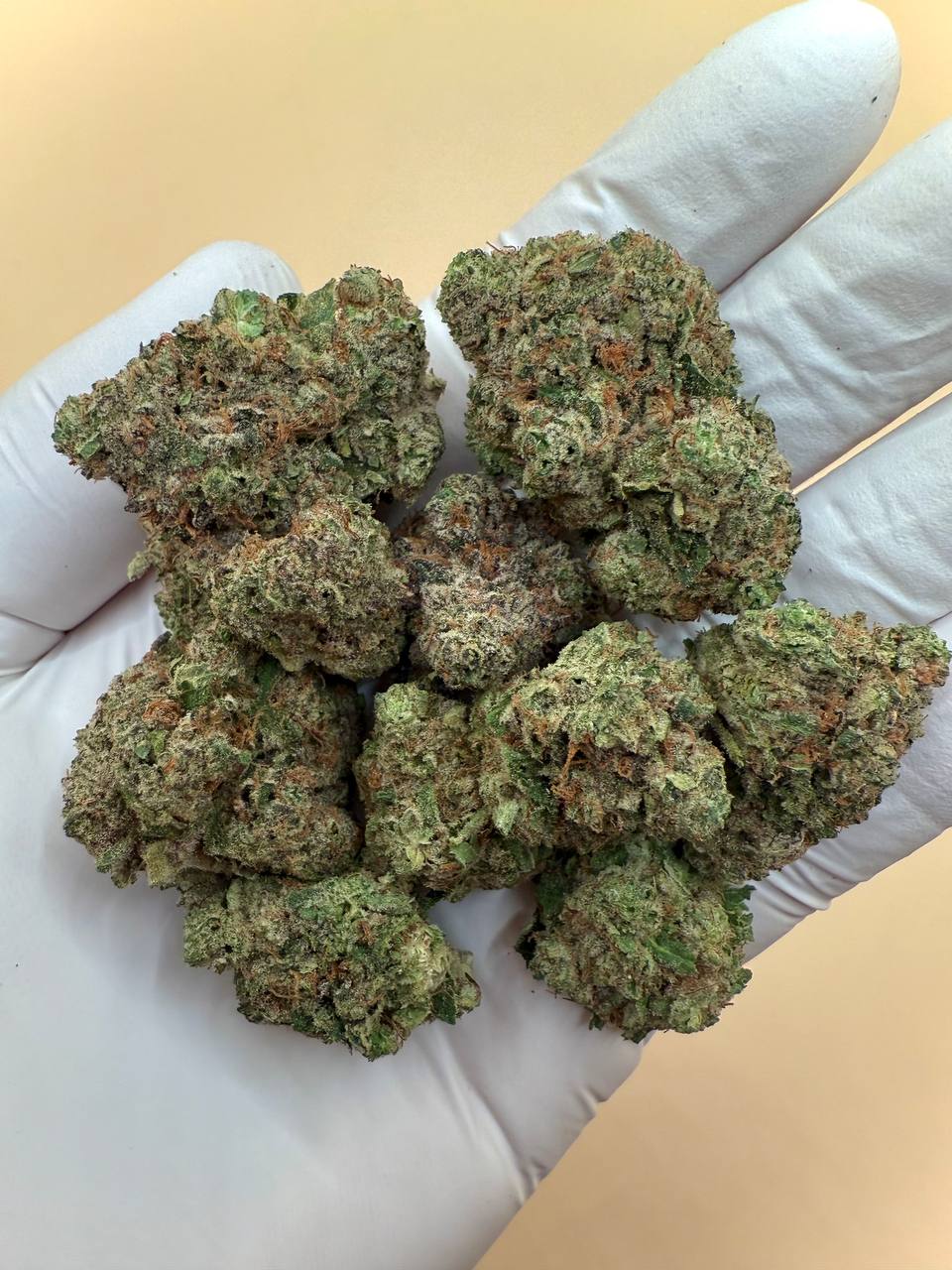 Girl Crush THCA Flower 3 Girl Crush THCA Flower - Image 3