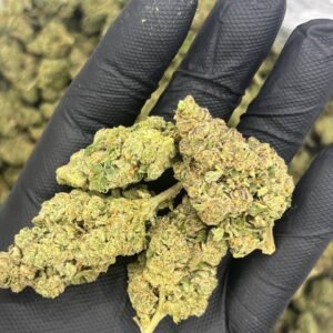 Slushie THCa Flower showcasing refreshing flavor and high-quality THCa content for wholesale.